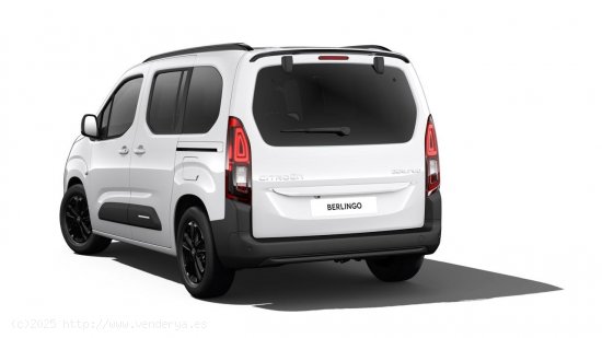 Citroën Berlingo Talla XL BlueHDi 130 S&S MAX - Santander