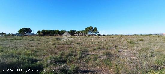 VENTA DE TERRENO EN EL ALTET, ELCHE. ALICANTE - ALICANTE