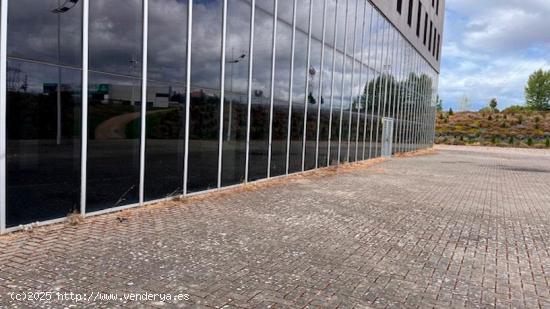 OFICINAS EN LA TORRE DE LA ROSALEDA - LEON