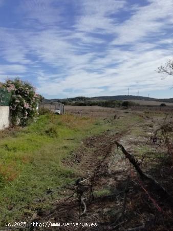 PARCELA RÚSTICA DE 6.000 METROS EN LAS INMEDIACIONES DE VEJER - CADIZ