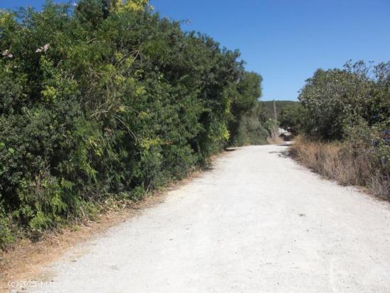  ESTUPENDA PARCELA RÚSTICA EN SANTA LUCÍA - CADIZ 