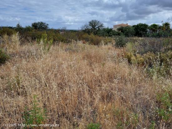  PARCELA RÚSTICA DE 2.000 m2 EN VENTA EN CAMPOMANES - BADAJOZ 