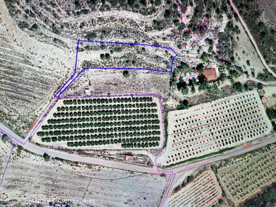  VENTA DE FINCA RUSTICA EN GODELLETA, poligono 2, parcela 875 - VALENCIA 