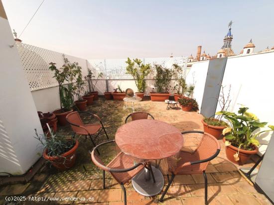  PISO CON GRAN TERRAZA Y VISTAS A GIRALDA - SEVILLA 