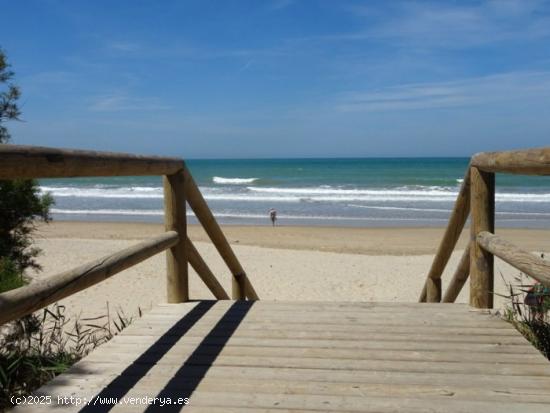  En Costa Ballena piso de planta baja en segunda linea de playa. - CADIZ 