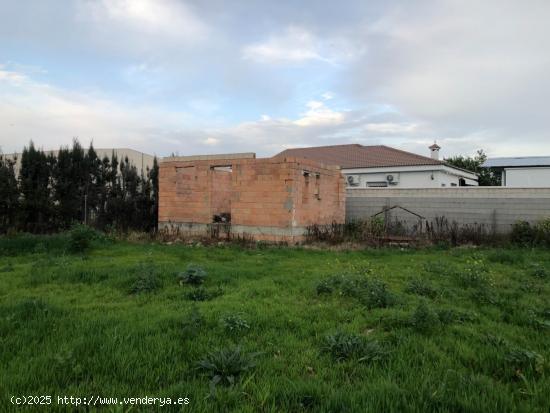 ¡¡PARCELA DE 1.250 M2 CON POZO Y POSIBILIDAD DE LUZ EN MAJANEQUE!! - CORDOBA