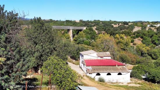 ¡¡IDEAL INVERSORES!! ¡¡FINCA JUNTO A MIRABUENO!! - CORDOBA