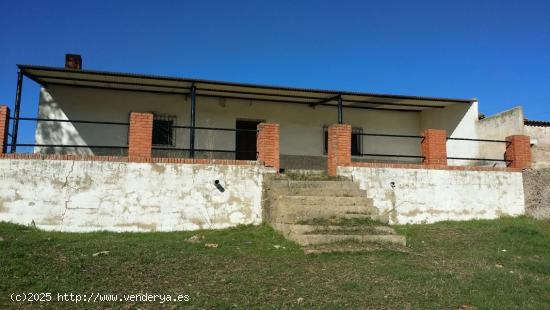 FINCA RÚSTICA ENTRE BELMEZ Y PEÑARROYA-PUEBLONUEVO - CORDOBA