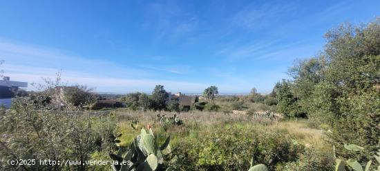  Conjunto de tres terrenos urbanos en Sa Cabaneta, Marratxí - BALEARES 