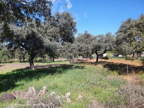 PARCELA EN EL MANANTIO - BADAJOZ