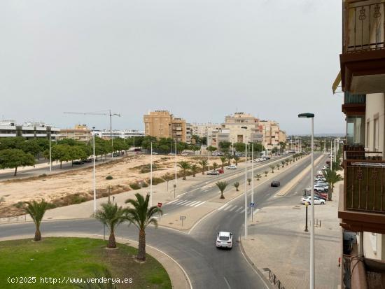 PISO EN ZONA CAMPO DE FÚTBOL - ELCHE - ALICANTE