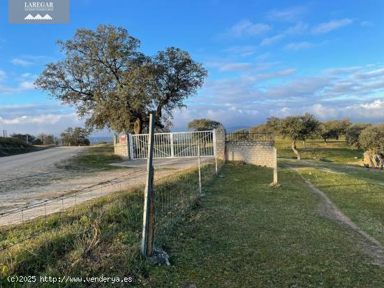 VENTA DE FINCA CON CORTIJO Y TINAO EN LA HABA, FINCA LAS LICENCIAS - BADAJOZ