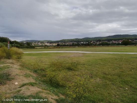 Terreno Agrario en venta o alquiler - BARCELONA