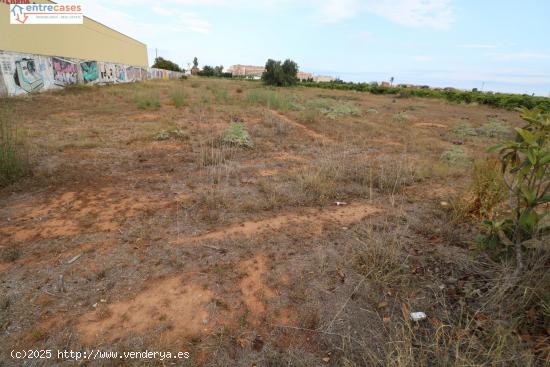 TERRENO RÚSTICO EN SAGUNTO - VALENCIA