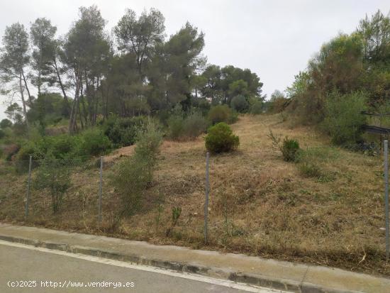 GRAN PARCELA EN AVINYONET DEL PENEDÉS - BARCELONA