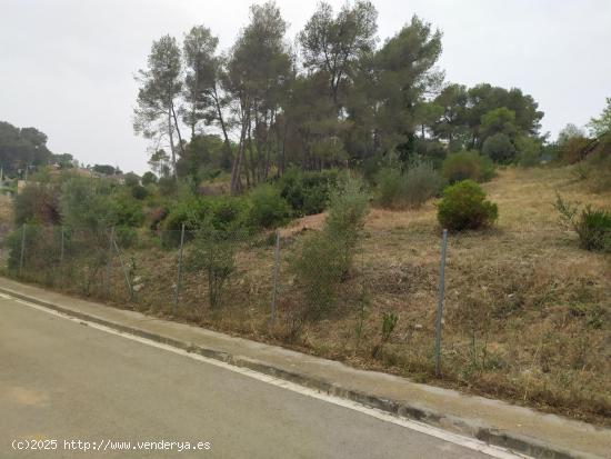 GRAN PARCELA EN AVINYONET DEL PENEDÉS - BARCELONA