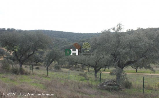 Solar en venta en Badajoz (Badajoz)