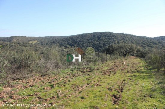 Solar en venta en Badajoz (Badajoz)