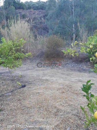 Finca en venta en Comares (Málaga)