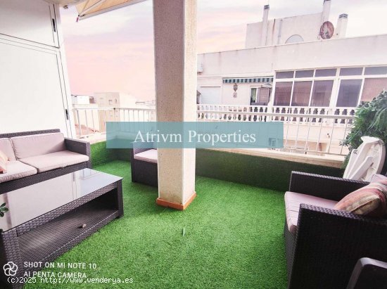  Apartamento en alquiler en Torrevieja (Alicante) 