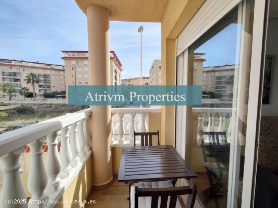 Apartamento en alquiler en Guardamar del Segura (Alicante)