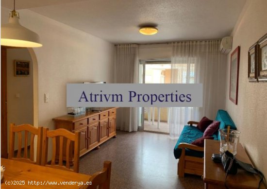 Apartamento en alquiler en Guardamar del Segura (Alicante)