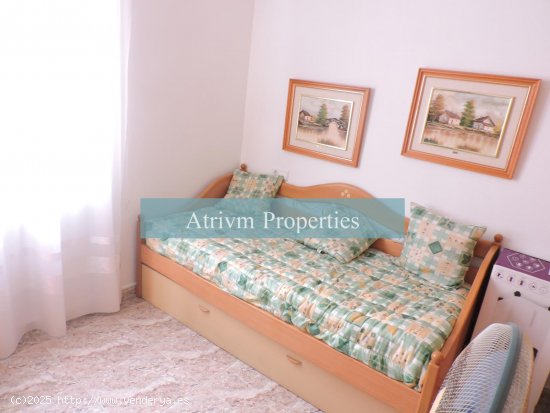 Apartamento en alquiler en Torrevieja (Alicante)