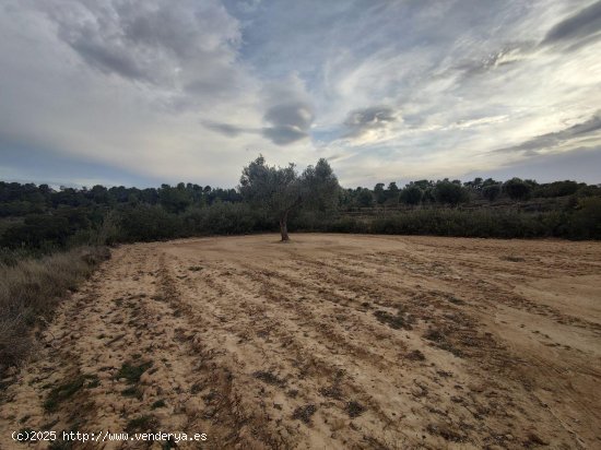 Solar en venta en Fabara (Zaragoza)