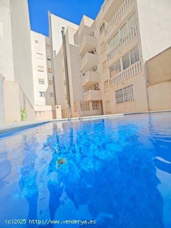  Se vende piso céntrico en Torrevieja - ALICANTE 