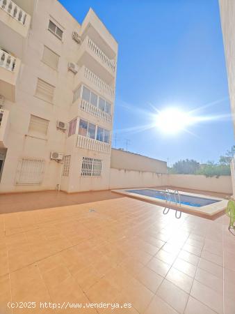 Se vende piso céntrico en Torrevieja - ALICANTE