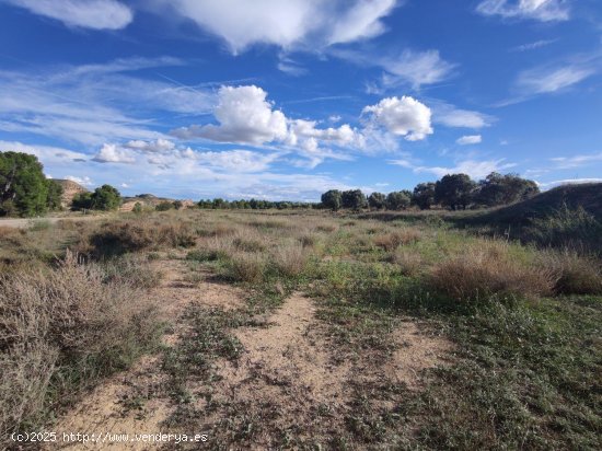 Solar en venta en Caspe (Zaragoza)