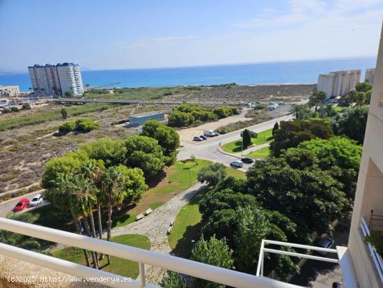 Impresionante apartamento en el Campello - ALICANTE