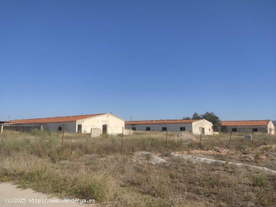  TERRENO URBANO CON VARIAS NAVES EN PARAJE JUNCADAS - ALBACETE 