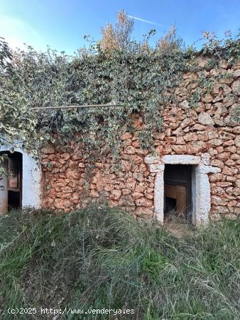  FINCA RÚSTICA EN SINEU - BALEARES 