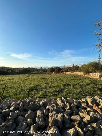 FINCA RÚSTICA EN SINEU - BALEARES