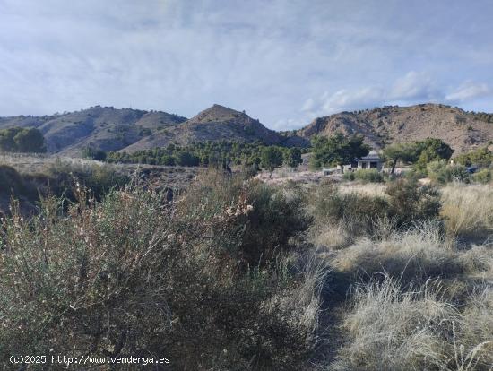 Terreno Rural - Yechar, Totana - MURCIA