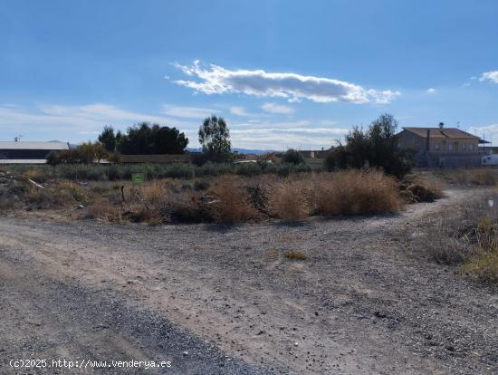 Terreno Urbano - La Hoya - MURCIA