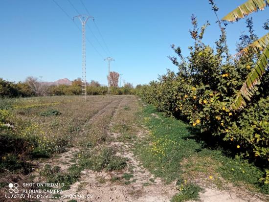 parcela rústica en huerta de Alquerías - MURCIA