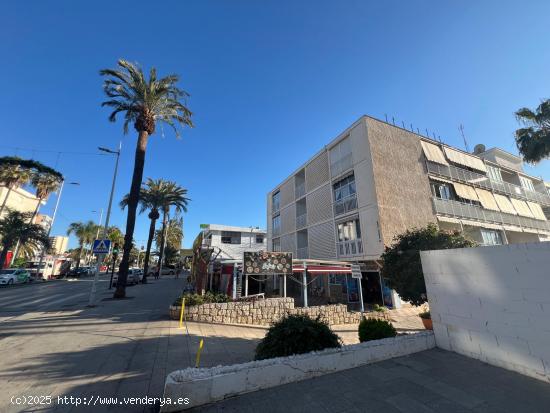 Restaurante Puerto Marina - MALAGA