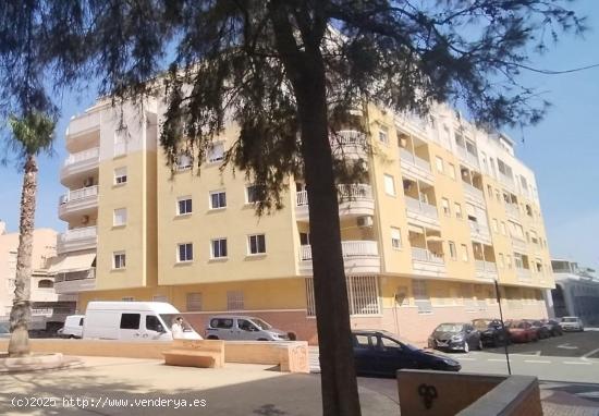  APARTAMENTO DE 2 DORMITORIOS 1 BAÑO EN TORREVIEJA - ALICANTE 