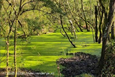 Se Vende en Tapia de Casariego - ASTURIAS