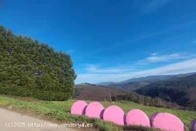 Se Vende en Tapia de Casariego - ASTURIAS