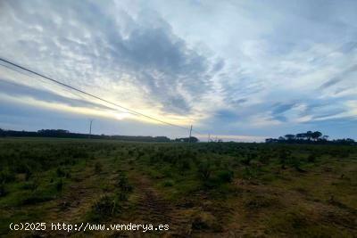 Se Vende en Tapia de Casariego - ASTURIAS