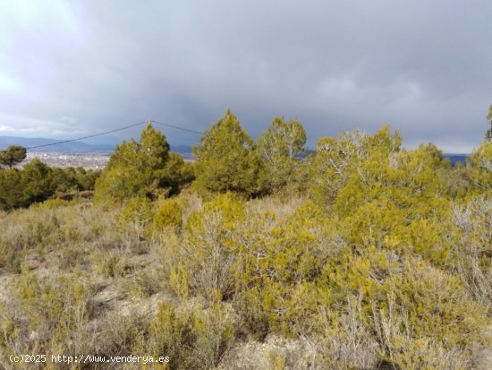 TERRENO EN VENTA EN RIVER PARK (EL PONT DE VILOMARA I ROCAFORT)