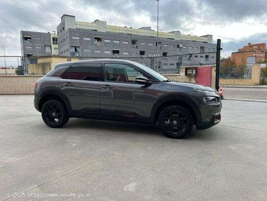 Citroën C4 Cactus PureTech 81KW (110CV) S&S Shine - Parla