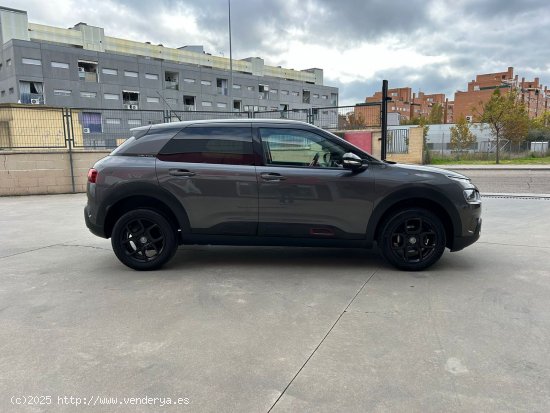 Citroën C4 Cactus PureTech 81KW (110CV) S&S Shine - Parla