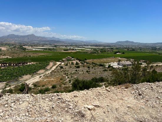 PARCELA EN ASPE - ALICANTE