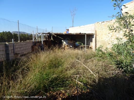 VENTA DE TERRENO URBANO EN  HONDÓN DE LAS NIEVES - ALICANTE