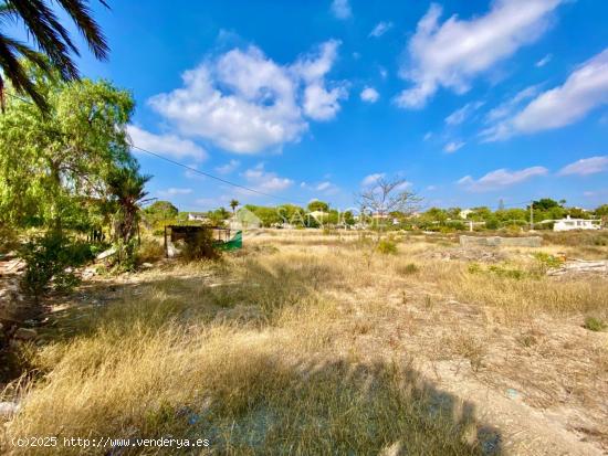 Terreno para construir en Peña de Las Aguilas - ALICANTE