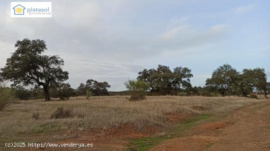 Terreno a la venta con agua y luz a pie de parcela en Arroyo de la Plata - Sevilla - SEVILLA